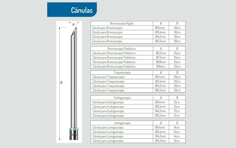 bhi-tbc-bhiosupply-judice-001AE-800x500